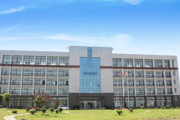 南寧定製永磁式磁輪生產廠家