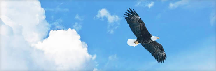 成人黄瓜视频网站