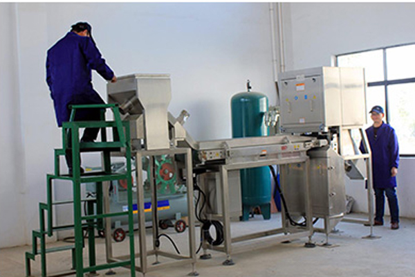 成人黄瓜视频网站